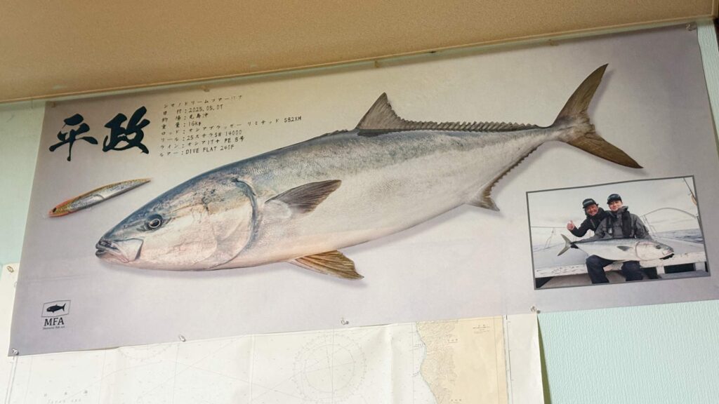 シマノドリームツアーの時の魚拓、PRノットで実際に獲った16kgのヒラマサ（2025年5月 見島沖）。このクラスの突進にも、PRノットはビクともしませんでした。