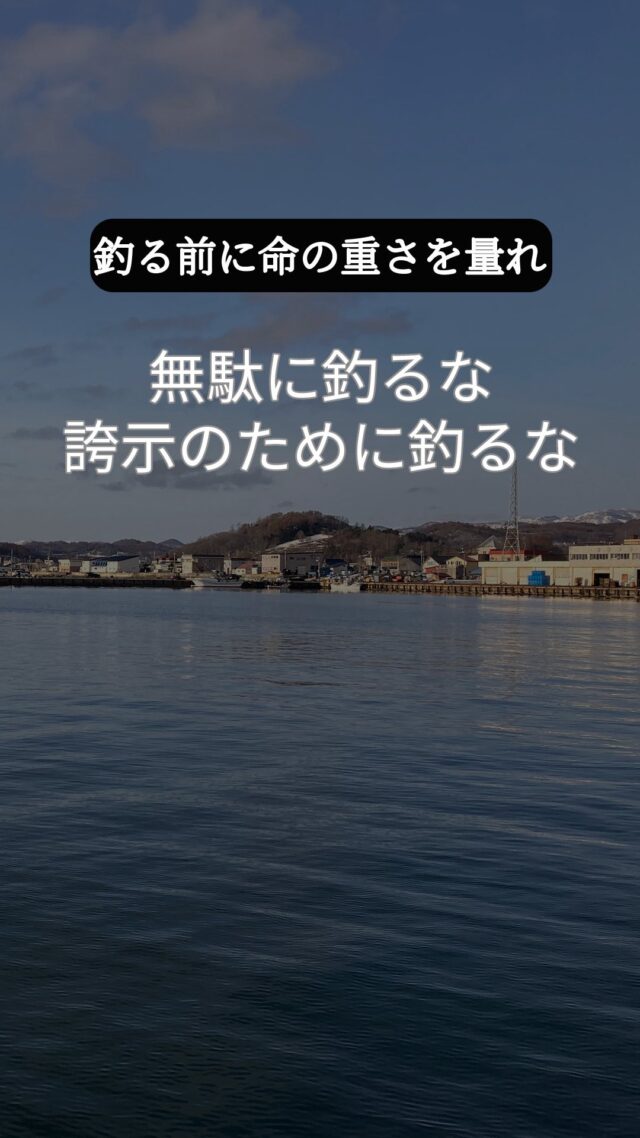 釣る前に、命の重さを量れ。
食えない魚は釣るな。食べきれない魚は釣るな。