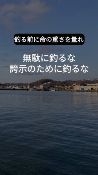 釣る前に、命の重さを量れ。
食えない魚は釣るな。食べきれない魚は釣るな。