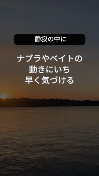 魚の気配は、音のない世界にひそんでいる。

釣れないときほど、周囲の音が気になりませんか？