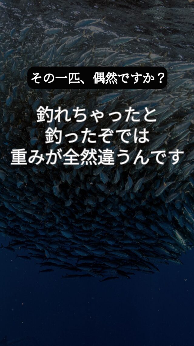 釣れちゃったと釣ったぞでは、重みが全然違うんです。
 釣れたは運、釣ったは実力。